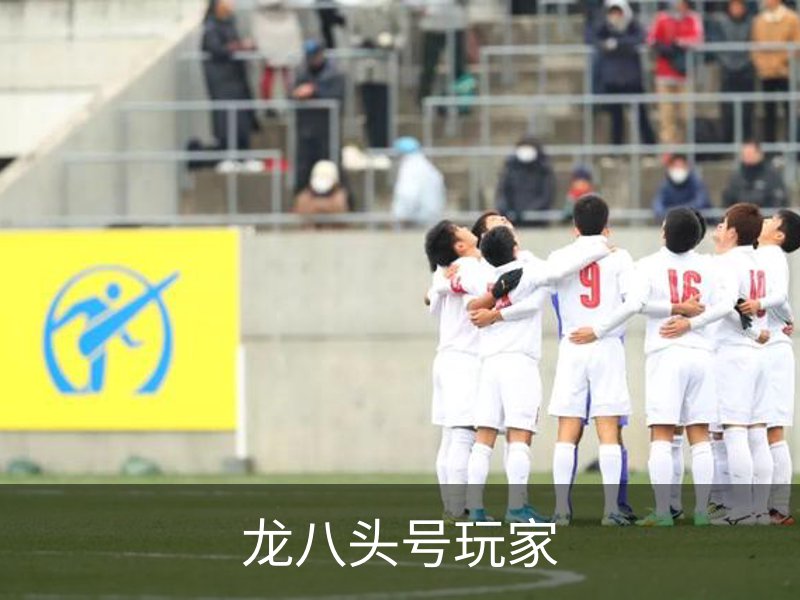 了解龙八头号玩家